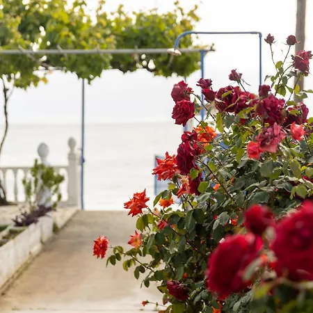 Tropical Nereus Apartment